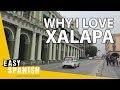 Video de Xalapa