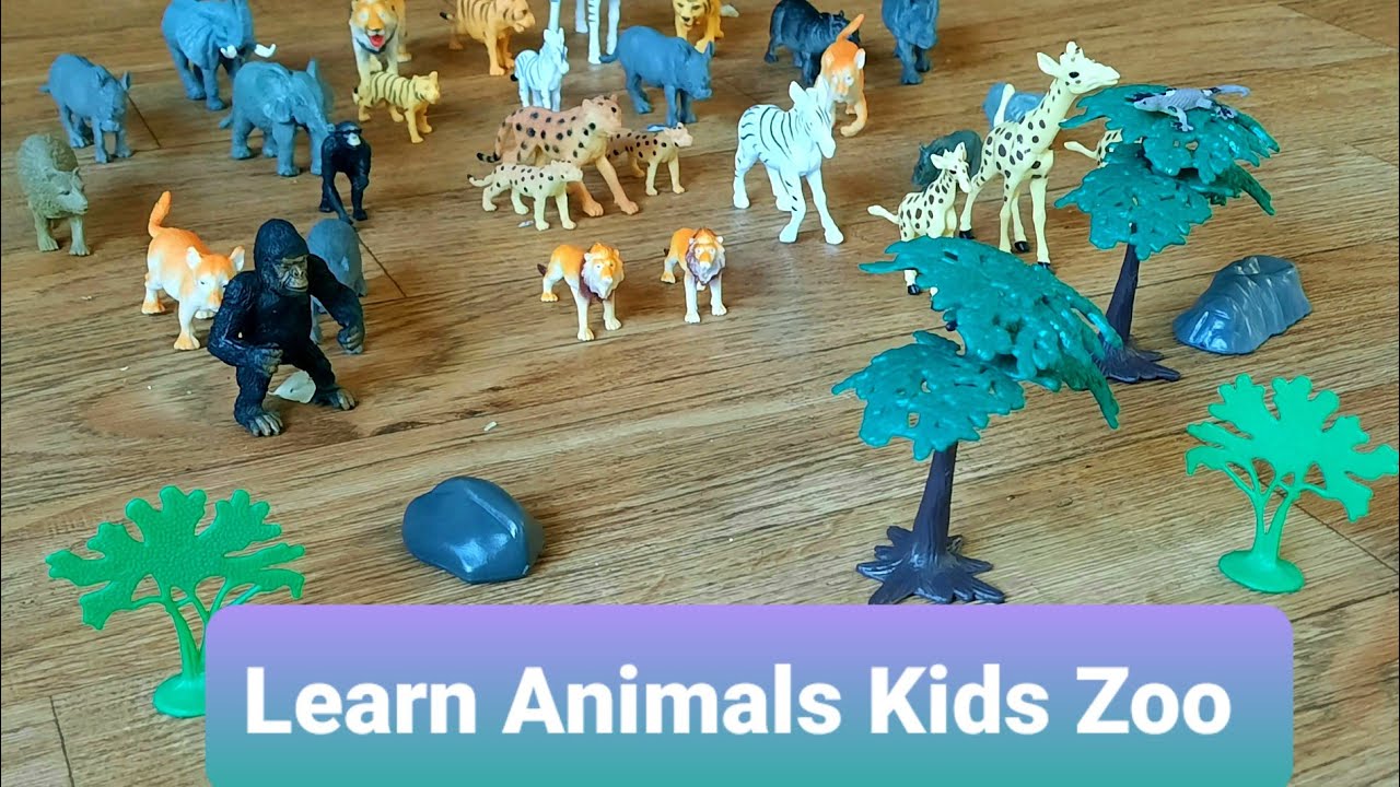Toy Animal Zoo for Kids fun learning - YouTube