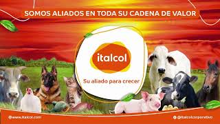 Donde está la noticia está Misael 