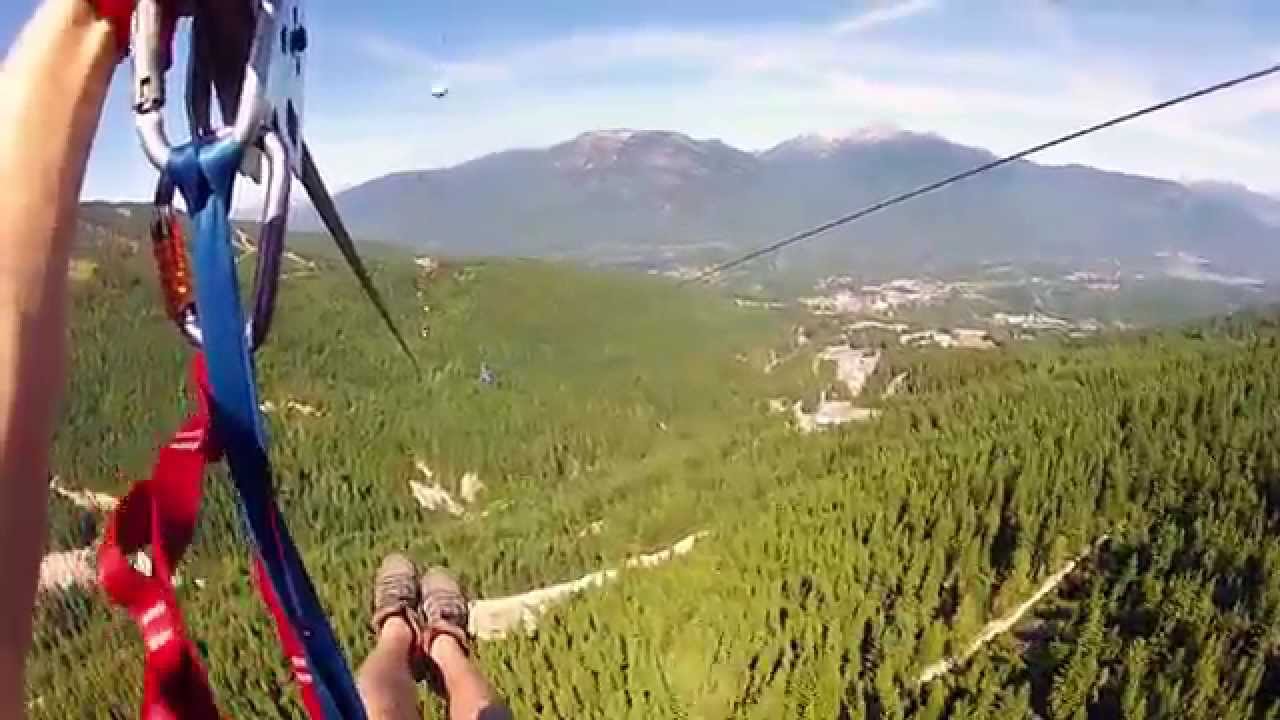 ziptrek sasquatch tour