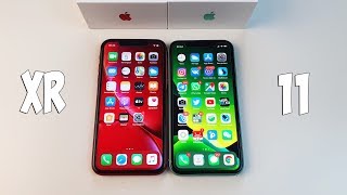 : IPHONE XR VS IPHONE 11 -  ?  !