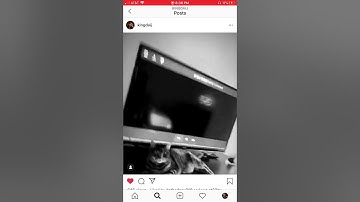 DC The Don - Pressure (Extended Snippet)