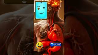 ভডওট সকলর জনয যর ধমপন করন অথব করন ন