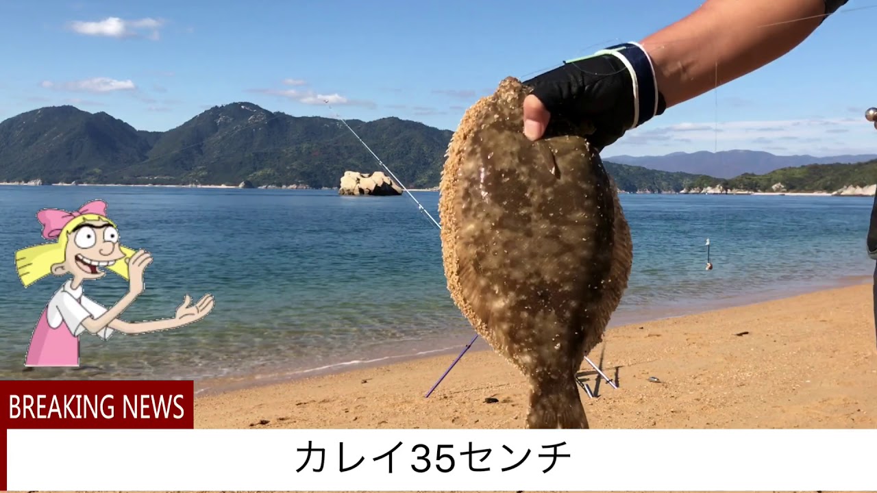 広島県 釣り 大型カレイ Vol 2 Youtube