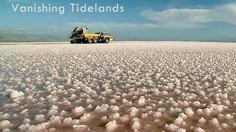 Saving the Bay - Vanishing Tidelands