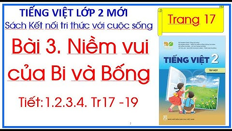 Bài 3 Niềm vui của Bi và Bống Tiếng Việt lớp 2 Sách Kết nối tri thức với cuộc sống trang 17