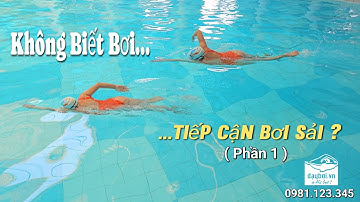 Hiểu Về Học Bơi Sải Cho Người Mới Bắt Đầu - Không Biết Bơi Có Tập Bơi Sải Được Không ( Phần 1 )