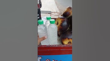 Buah Lontar #shortvideo