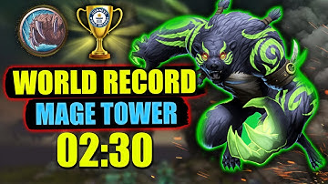 Guardian Druid | Mage Tower WORLD RECORD! | 2:30 Min Fight! PoV