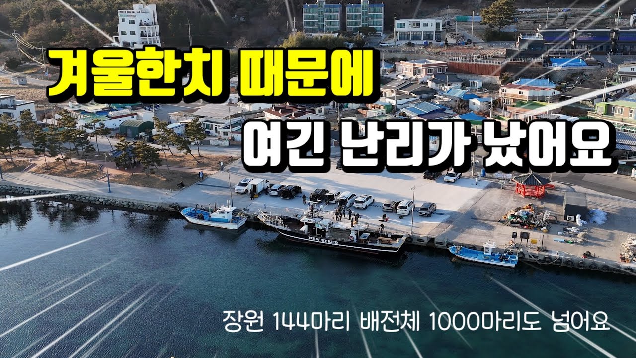 초초 대박~이렇게 많이 나온다고!!!한겨울에 한치로 들썩들썩 잡는방법도 특이한 겨울한치낚시 #뉴스피드호 #한치낚시