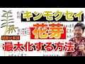 キンモクセイの花を最大化する方法と実際の手入れについての話【庭師が解説】