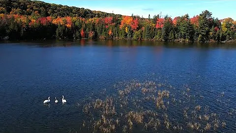 Drone Sights and Sounds of Northern Michigan: Mission Hill Overlook