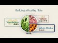 Precision Nutrition: Biohack Your Cells for Longevity