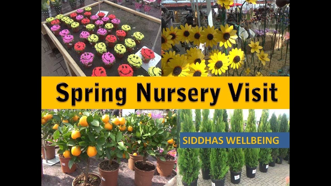 Nursery visit in Spring - UK - YouTube