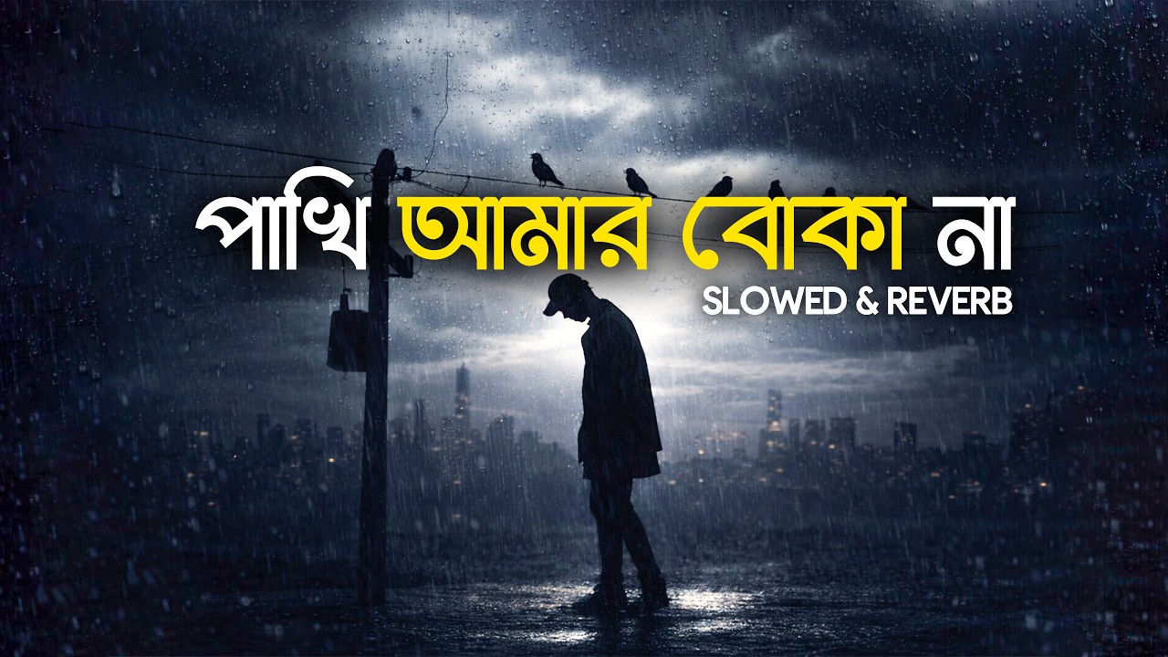 Pakhi Amar Boka Na | পাখি আমার বোকা না | Lofi Remix | Atif Ahmed Niloy | Bangla Song 2026 Pakhi Amar Boka Na | পাখি আমার বোকা না | Lofi Remix | Atif Ahmed Niloy | Bangla Song 2026