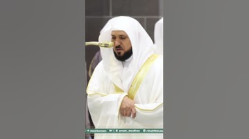 تلاوة فضيلة الشيخ د.ماهر المعيقلي من صلاة التهجد ليلة ٢٢ رمضان ١٤٤٦ه‍. #ماهرالمعيقلي