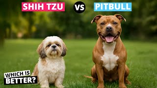 Shih Tzu vs Pitbull: Which One’s Better?