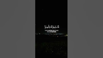 تلاوة مباركة بصوت الشيخ ياسر الدوسري تجعلك تكررها ❤️‍🩹😴 @Yasseraldosry #اكسبلور #اسلام #المصحف