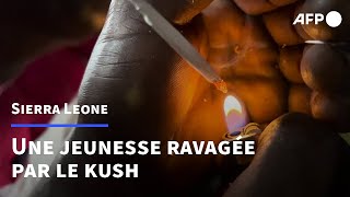 En Sierra Leone, une jeunesse désœuvrée ravagée par le kush | AFP Reportage