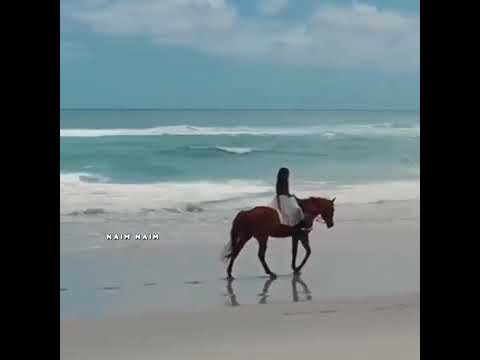 يلي بقلبي اسراري مشتقلك ليلي ونهاري