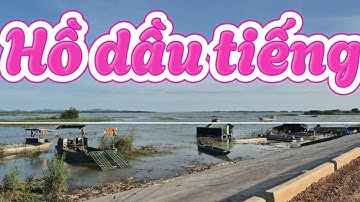 Hồ dầu tiếng đang thi công đường bờ kè địa phận tỉnh tây ninh || châu ngọc vlog & bonsai 