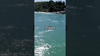 Descubre la Magia Florianópolis Santa Catarina Brasil