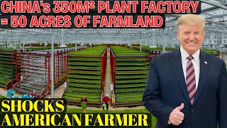 Celebrity China’s Vertical Farms Are 40x More Efficient—Here’s How They Work: 15 Tons of Food in Just 400m² Profile