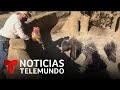 Este zoo de México no tiene cómo alimentar a sus animales | Noticias Telemundo