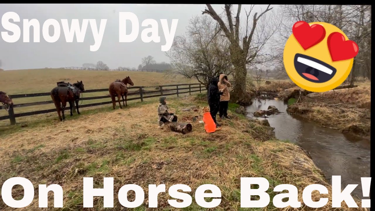 Farm Life: A Day In The Life - YouTube