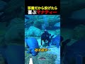 邪魔だから投げたら喜ぶマナティー