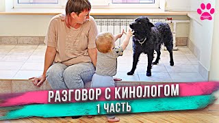 Темперамент у собак  это загадка? Как работает нервная система у собак? Что за порода Муди? [1/4]