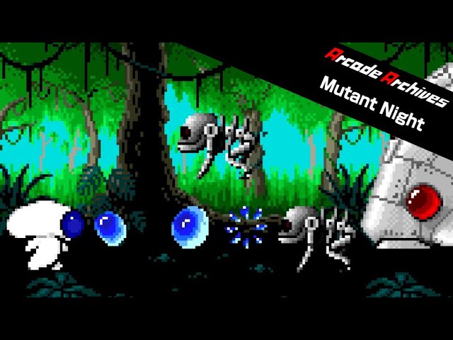 Arcade Archives: mantendo a história da Big N viva no Nintendo