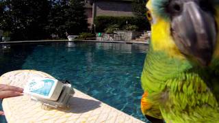 Go Float It accessory floats