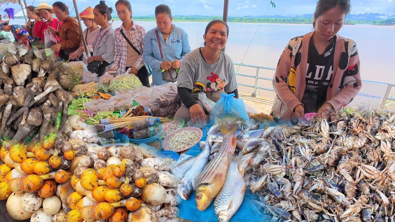 เลาะตลาด Ep #25 อาหารป่า ตลาดนัดไทย-ลาวอำเภอท่าอุเทน จังหวัดนครพนม