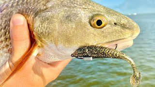 The Reason Why You Should Use A Light Vs Dark Color Lure