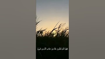 ما تيسر من سورة إبراهيم بصوت منير رحمه الله وغفر له.
