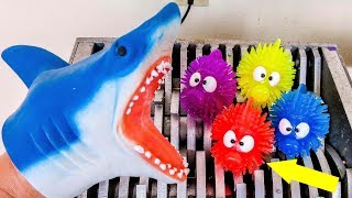 Shark Puppet and Fish Toys Shredded! Colorful Squishy Animals Destroyed! What's Inside Hand Puppet?