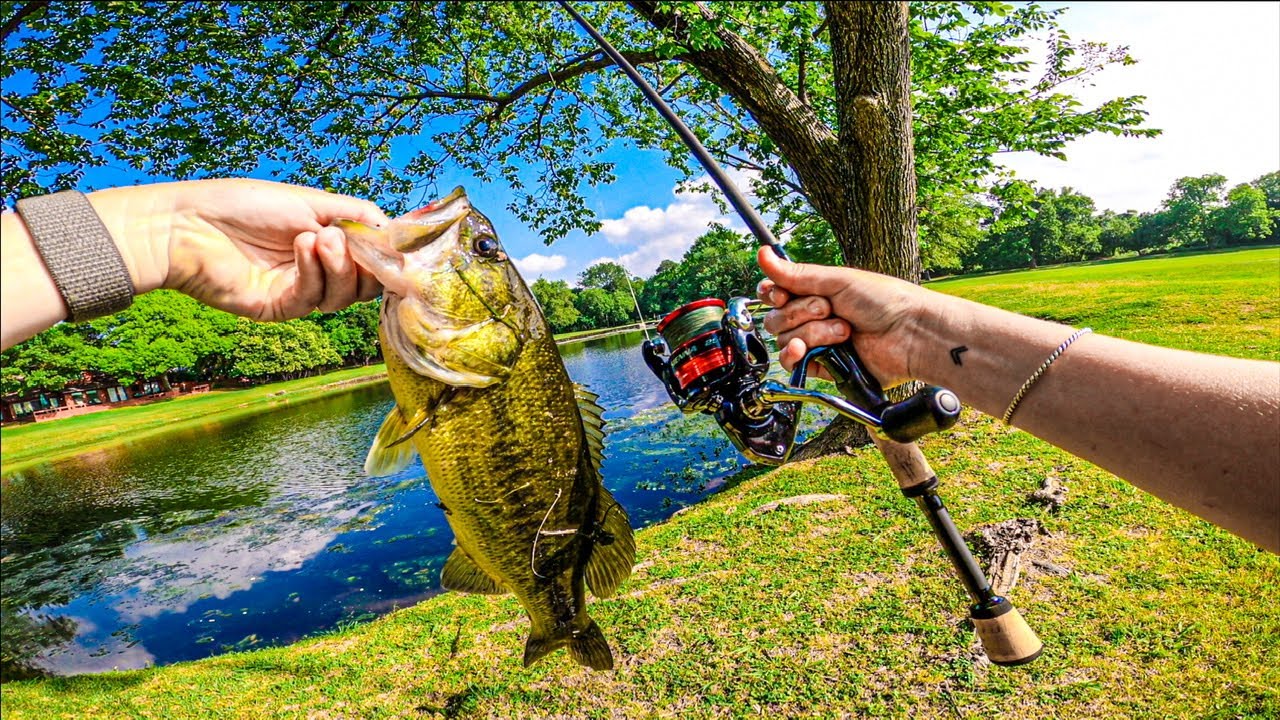 NEW CHEAP SHIMANO REEL!! $30 Possibly the best affordable spinning setup  for fishing 