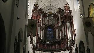 Oliwa Cathedral's Pipe Organ #2