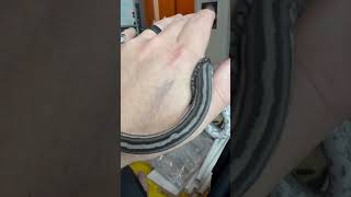 Axanthic Tiger Carpet Python