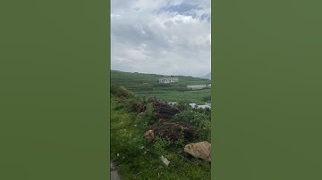 سورة المائدةll تلاوة القارئ محمد الفقيه صوت!! يشرح صدر