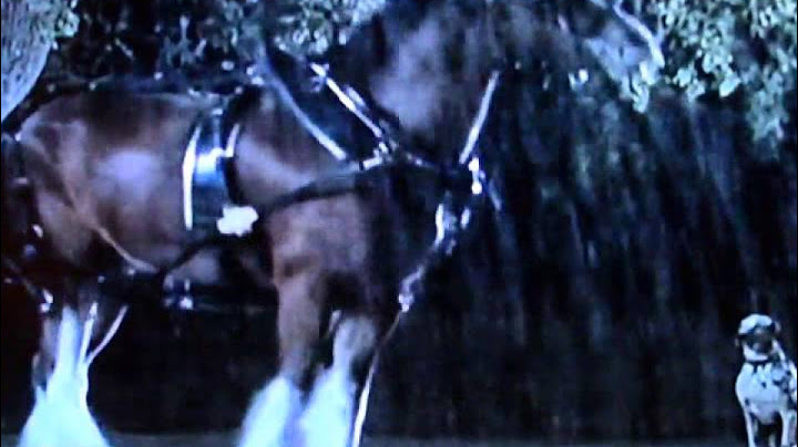Budweiser....#1 Super Bowl Commercial of all time