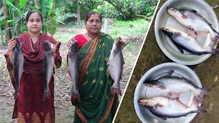 Pangas Fish Pangasius Cooking Recipe By Village Food Life Pangas Fish Curry