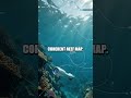 Gliding Minds Beneath the Waves AI Guided Coral Mapping