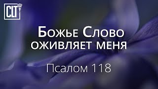 Божье Слово оживляет меня | Псалом 118 | Библия