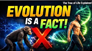 The Tree of Life Explained | Evolution Is a Fact, Not a Theory 🧬
