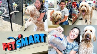 ... , today we are shopping with our golden doodle, dude at petsmart!
love taking dog out us and this time was no exception! comment below
let me know if you have any tips or
