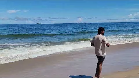 Video 5988421: cats dogs animals compilation, animals cutest cats compilation, cat dog funny compilation, cats compilation cute dogs, laugh funny cats compilation, cat funny dog awesome, hilarious animal compilation, funniest cats dogs