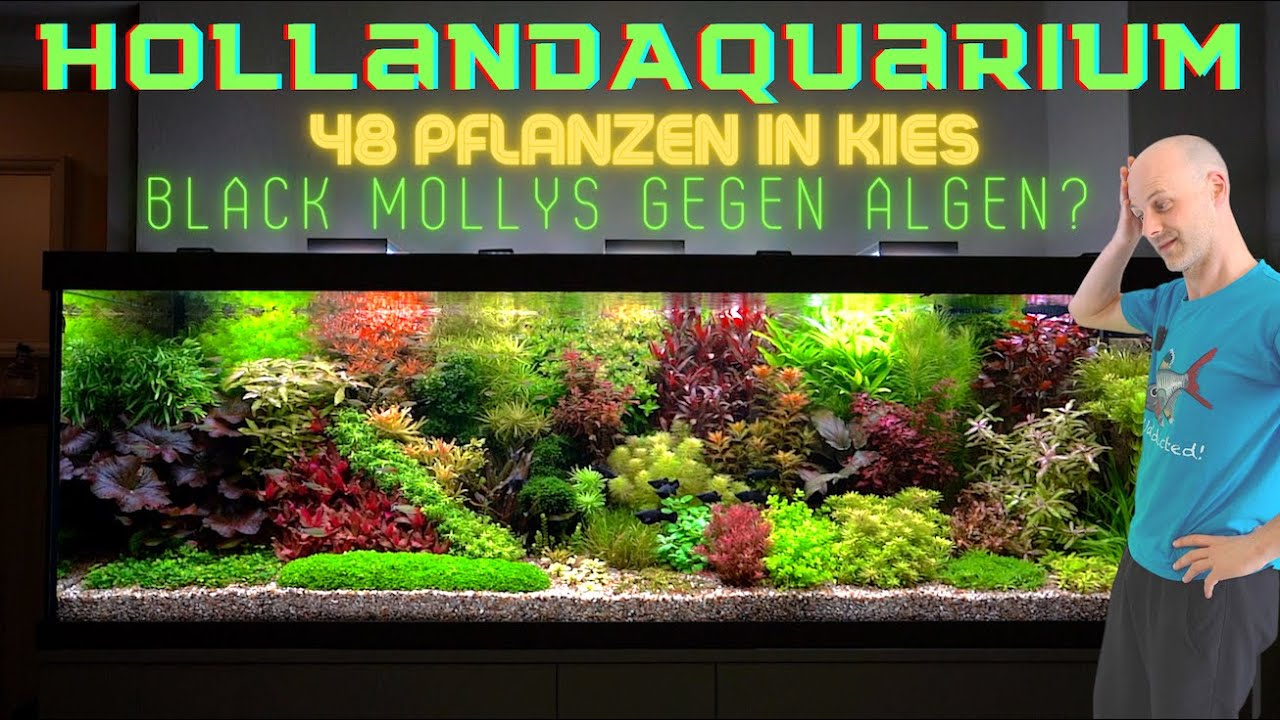 Wir sind sprachlos! Unfassbares Hollandaquarium mit 48 verschiedenen Aquarienpflanzen in Kiesboden!