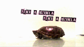 Qnkly - Teki a szikla (official lyrics video)